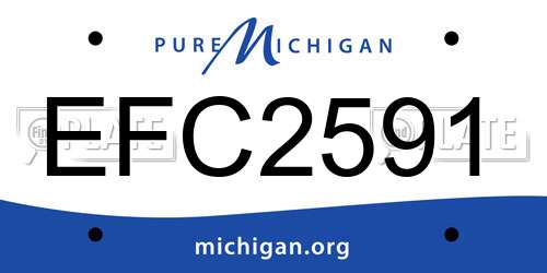 EFC2591 Michigan License Plate