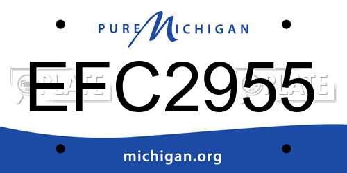 EFC2955 Michigan License Plate