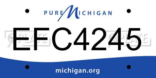 EFC4245 Michigan License Plate
