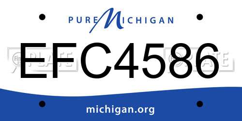 EFC4586 Michigan License Plate