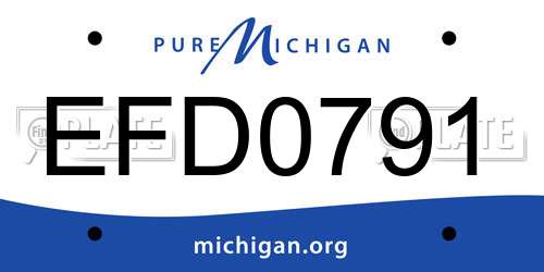 EFD0791 Michigan License Plate