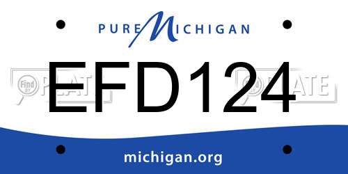 EFD124 Michigan License Plate