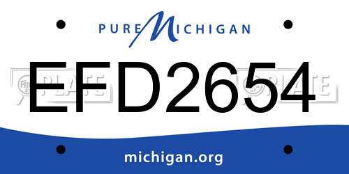 EFD2654 Michigan License Plate