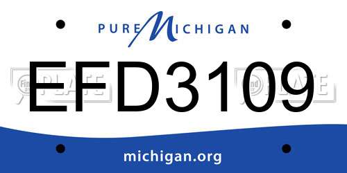 EFD3109 Michigan License Plate
