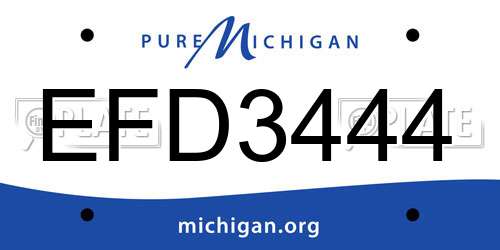 EFD3444 Michigan License Plate