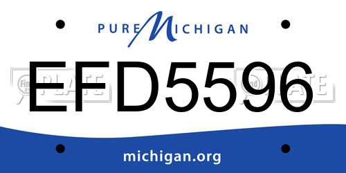 EFD5596 Michigan License Plate