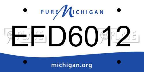 EFD6012 Michigan License Plate