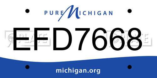 EFD7668 Michigan License Plate