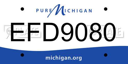 EFD9080 Michigan License Plate