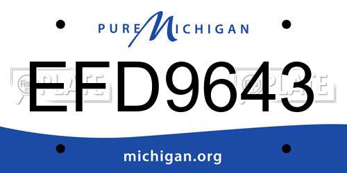 EFD9643 Michigan License Plate