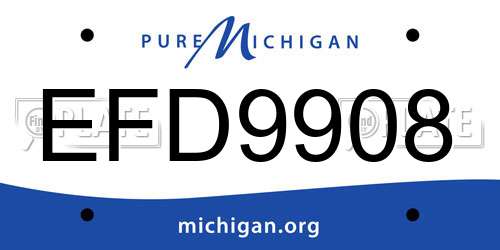 EFD9908 Michigan License Plate
