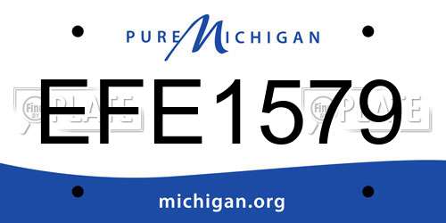 EFE1579 Michigan License Plate