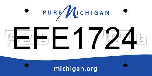 EFE1724 Michigan License Plate