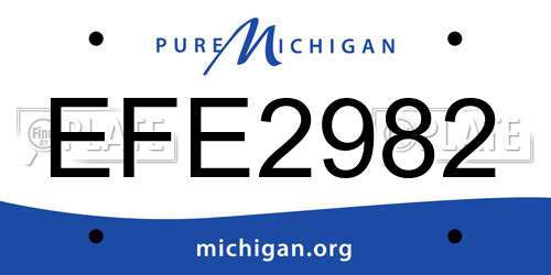 EFE2982 Michigan License Plate
