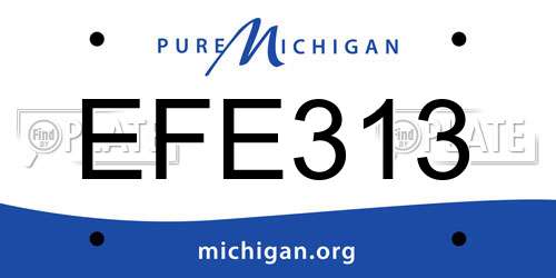 EFE313 Michigan License Plate