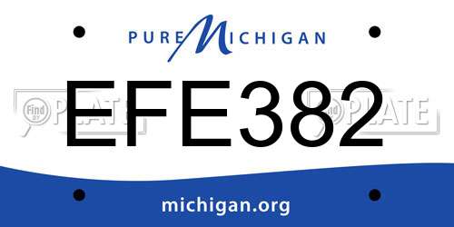 EFE382 Michigan License Plate