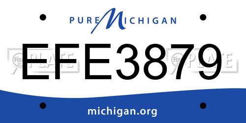 EFE3879 Michigan License Plate