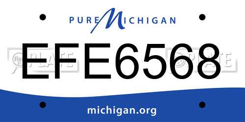EFE6568 Michigan License Plate