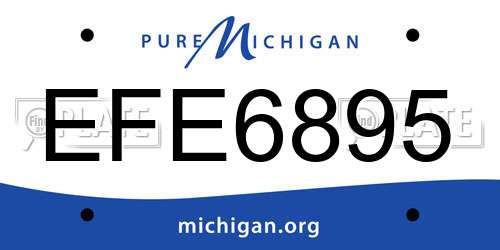 EFE6895 Michigan License Plate