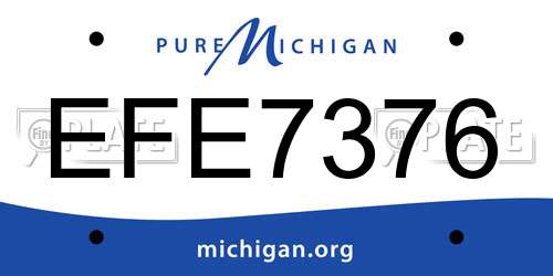 EFE7376 Michigan License Plate