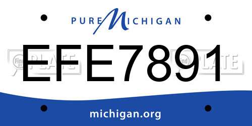 EFE7891 Michigan License Plate