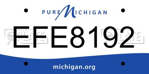 EFE8192 Michigan License Plate