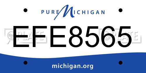 EFE8565 Michigan License Plate