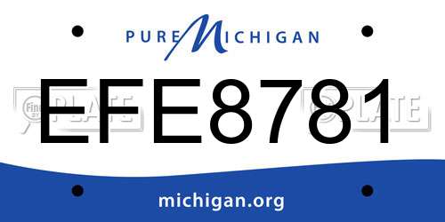 EFE8781 Michigan License Plate