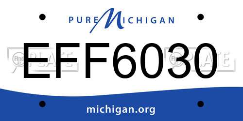 EFF6030 Michigan License Plate