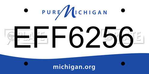 EFF6256 Michigan License Plate