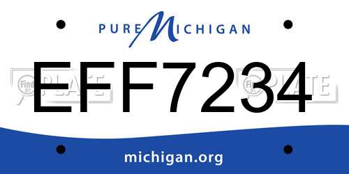 EFF7234 Michigan License Plate