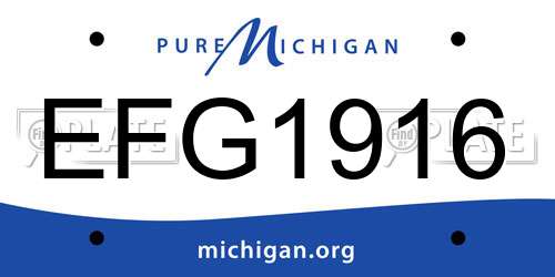 EFG1916 Michigan License Plate