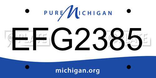 EFG2385 Michigan License Plate