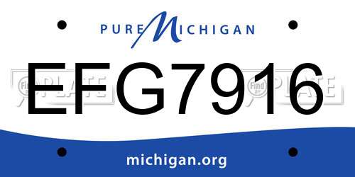 EFG7916 Michigan License Plate