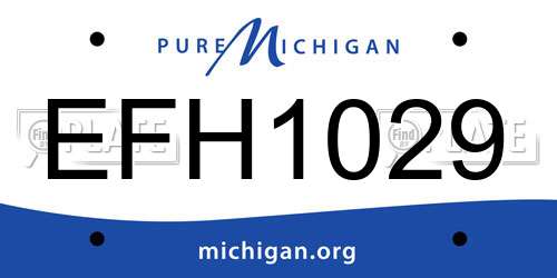 EFH1029 Michigan License Plate