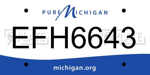 EFH6643 Michigan License Plate