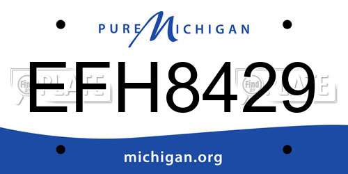 EFH8429 Michigan License Plate