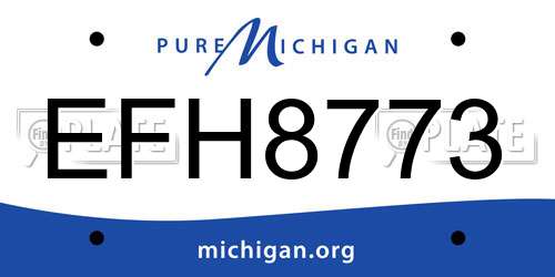 EFH8773 Michigan License Plate