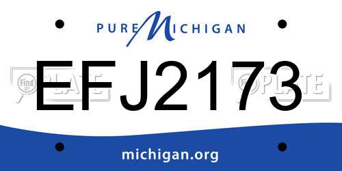EFJ2173 Michigan License Plate