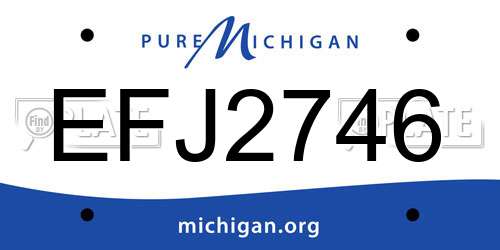 EFJ2746 Michigan License Plate