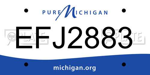 EFJ2883 Michigan License Plate