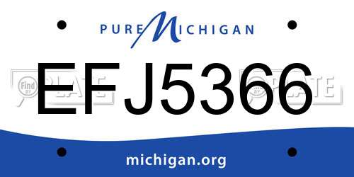 EFJ5366 Michigan License Plate