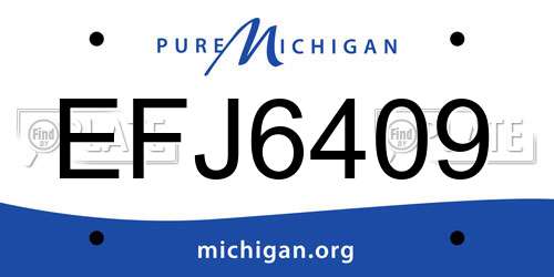 EFJ6409 Michigan License Plate