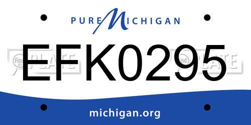 EFK0295 Michigan License Plate