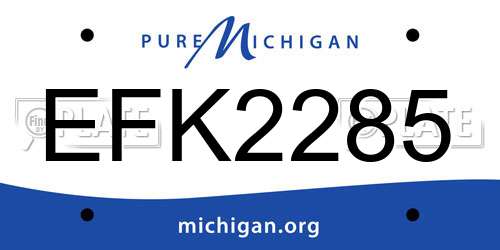 EFK2285 Michigan License Plate