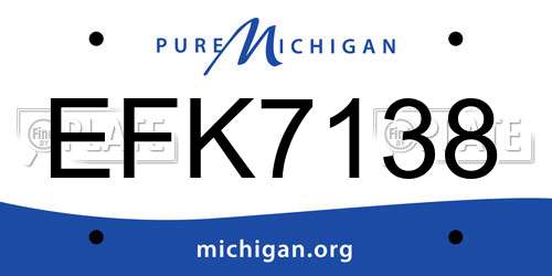 EFK7138 Michigan License Plate