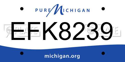 EFK8239 Michigan License Plate