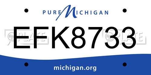 EFK8733 Michigan License Plate