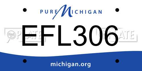 EFL306 Michigan License Plate