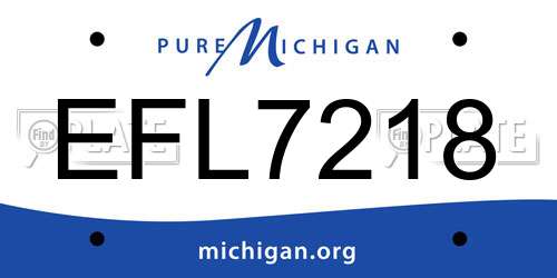 EFL7218 Michigan License Plate